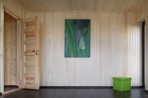 Greencube-Saun-5